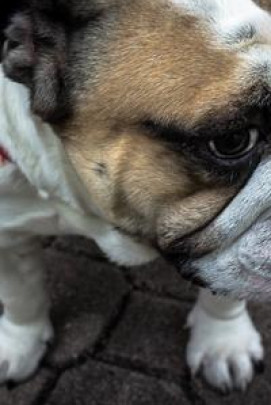 wtillman