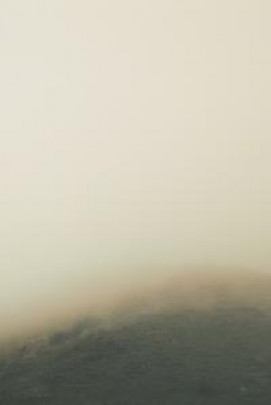 lizeth81